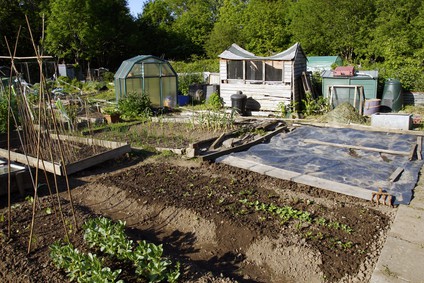 Learn How To Grow Your Own Food